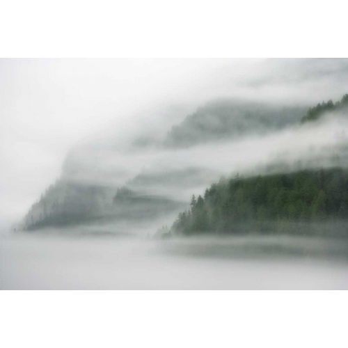 Canada, BC, Mist and fog shroud the island